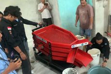 Bikin Terobosan, UBL Ciptakan Mesin yang Mampu Sortir 75 Kg Damar dalam Satu Jam