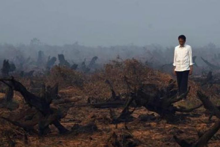 Presiden Joko Widodo berada di tengah area hutan gambut yang rusak dan hangus saat melakukan inspeksi kebakaran hutan di Banjarbaru, Kalimantan Selatan, 23 September 2015.