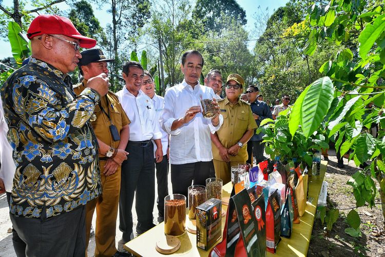 Presiden Joko Widodo (Jokowi) didampingi Menteri Pertanian (Mentan) Andi Amran Sulaiman meninjau perkebunan kopi di Desa Kambahang, Kecamatan Batu Brak, Kabupaten Lampung Barat, Provinsi Lampung, Jumat (12/7/2024).