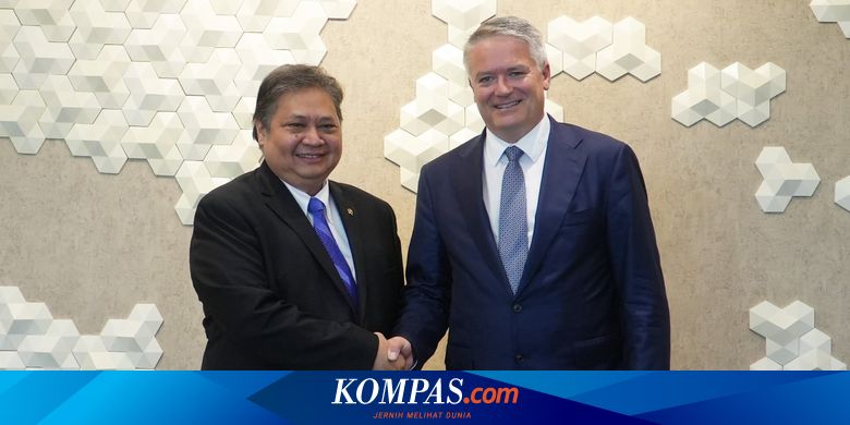 Airlangga Sebut Indonesia Diterima dan Mulai Proses Keanggotaan OECD