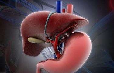 Liver/Hati