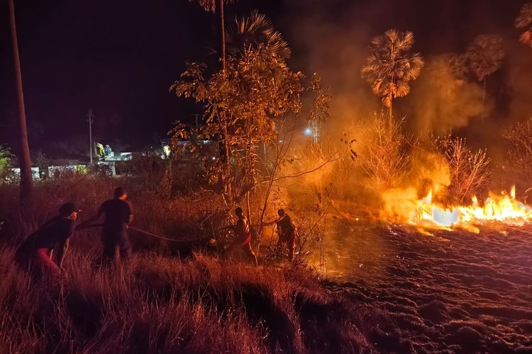 Hamparan Sabana di Labuan Bajo Terbakar, Api Menyebar Capai 100 Hektar