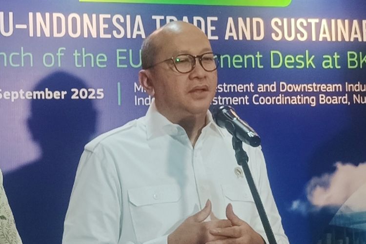 CEO Danantara Rosan P Roeslani saat memberikan keterangan di Kantor Kementerian Investasi, Jakarta, Selasa (30/9/2025).