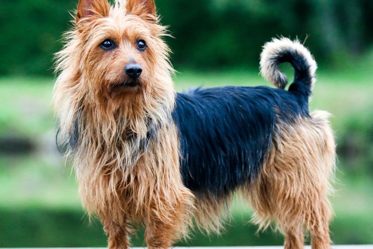 Сложности и проблемы в воспитании