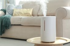 2 Beda Air Purifier dan Humidifier untuk Kesehatan