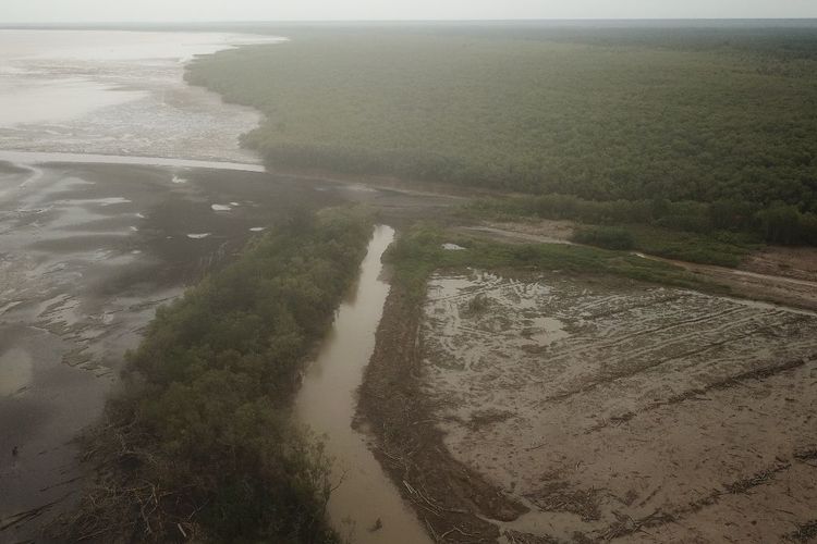 Tampak dari udara perbedaan lahan mangrove yang telah mengalami penggundulan dan yang masih alami, tingkat abrasi pun berbeda di Desa Sungai Sayang, Kecamatan Sadu, Kabupaten Tanjab Timur, Jambi.