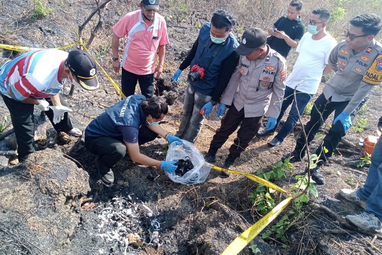 Hendak Cari Pakan Ternak di Hutan Lamongan, Warga Malah Temukan Kerangka Manusia