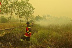 Karhutla Kotim: Polisi Temukan Warga Dibayar Rp 500.000 untuk Bakar Lahan, 17 Perkara Masih Diselidiki