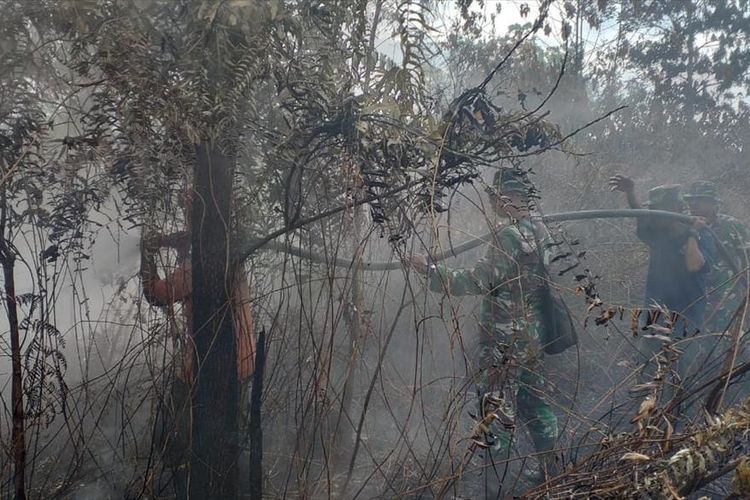 Petugas TNI dan Manggala Agni memadamkan sisa api karhutla di Kelurahan Air Hitam, Kecamatan Payung Sekaki, Pekanbaru, Riau, Minggu (21/7/2019).