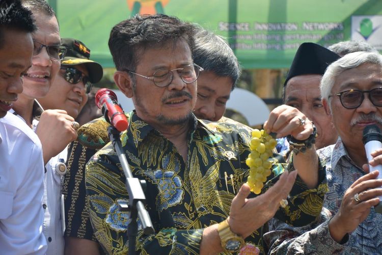 Menteri Pertanian Syahrul Yasin Limpo menyematkan nama Jan Ethes pada buah anggur. (foto: Humas Pertanian)