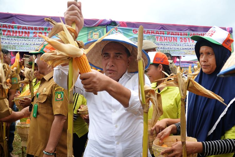 Gubernur Sumut Edy Rahmayadi di lokasi panen raya jagung dan pedet di Desa Purwobinangun, Kecamatan Sei Bingei, Kabupaten Langkat, Senin (1/4/2019)