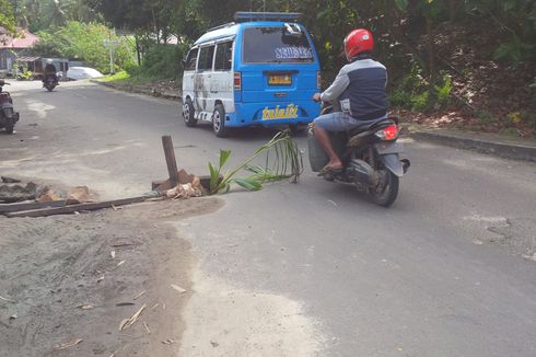 Di Nunukan, Jalan Berlubang Ditanami Pohon Kelapa