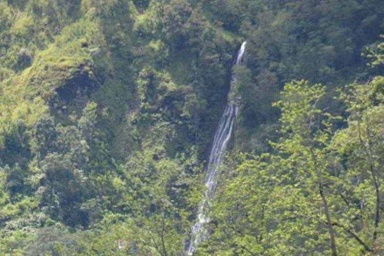 Air terjun Biting, Desa Wejang Mali, Kecamatan Pocoranaka Timur, Kabupaten Manggarai Timur, Flores, NTT, Kamis (23/2/2017) memikat pelancong mancanegara dan nusantara untuk berwisata ke kawasan itu. Selain itu ada kawasan perkebunan kopi di sekitar air terjun tersebut. 