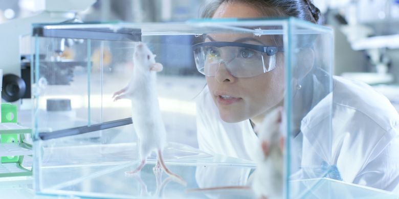 Ilustrasi peneliti mengamati percobaan atau penelitian terhadap tikus.