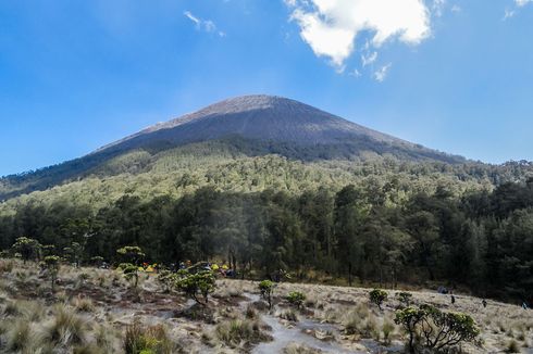 Pihak TNBTS Tegaskan Tak Ada Pendaki Saat Gunung Semeru Erupsi