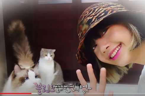 Gemas! Ini 9 Idol Kpop yang Memelihara Kucing