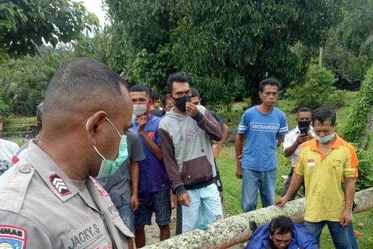 Seroang tukang ojek di Desa Suli, Kecamatan Salahutu, Kabupaten Maluku Tengah tewas di rumah sakit setelah tertimpa pohon kelapa yang tumbang di desa tersebut, Jumat (19/6/2020)