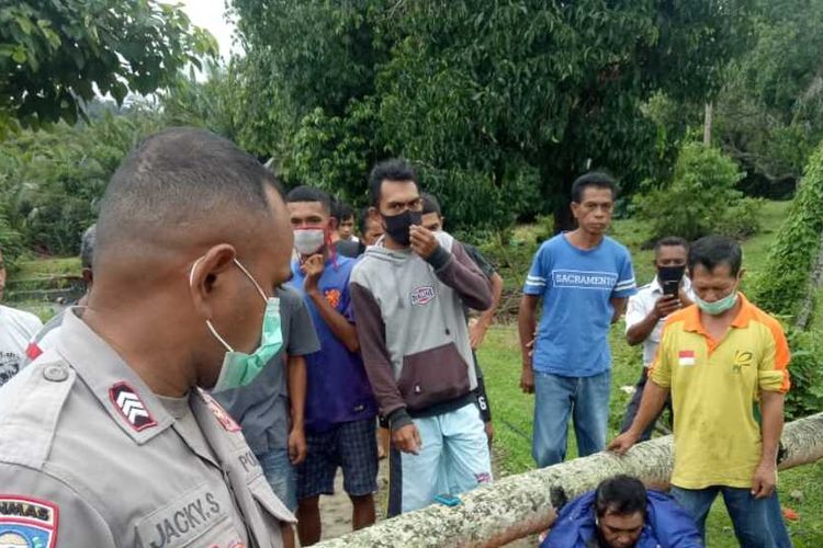 Seroang tukang ojek di Desa Suli, Kecamatan Salahutu, Kabupaten Maluku Tengah tewas di rumah sakit setelah tertimpa pohon kelapa yang tumbang di desa tersebut, Jumat (19/6/2020)(KOMPAS.COM/RAHMAT RAHMAN PATTY)
