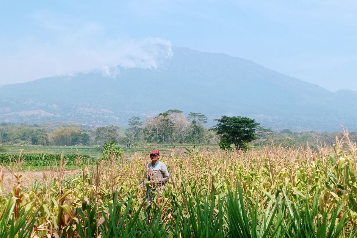 Titik api kembali muncul di sisi selatan Gunung Lawu, dilihat dari Desa Nitikan Magetan. Titik api kebakaran hutan Gunung Lawu diketahui sejak Senin sore di Petak 51 B-1 Rajeg Angin masuk Wilayah RPH Bedagung Desa Ngiliran, Kecamatan Panekan dan Petak 73 B-4 Wilayah RPH Desa Getasanyar, Kecamatan Sidorejo.