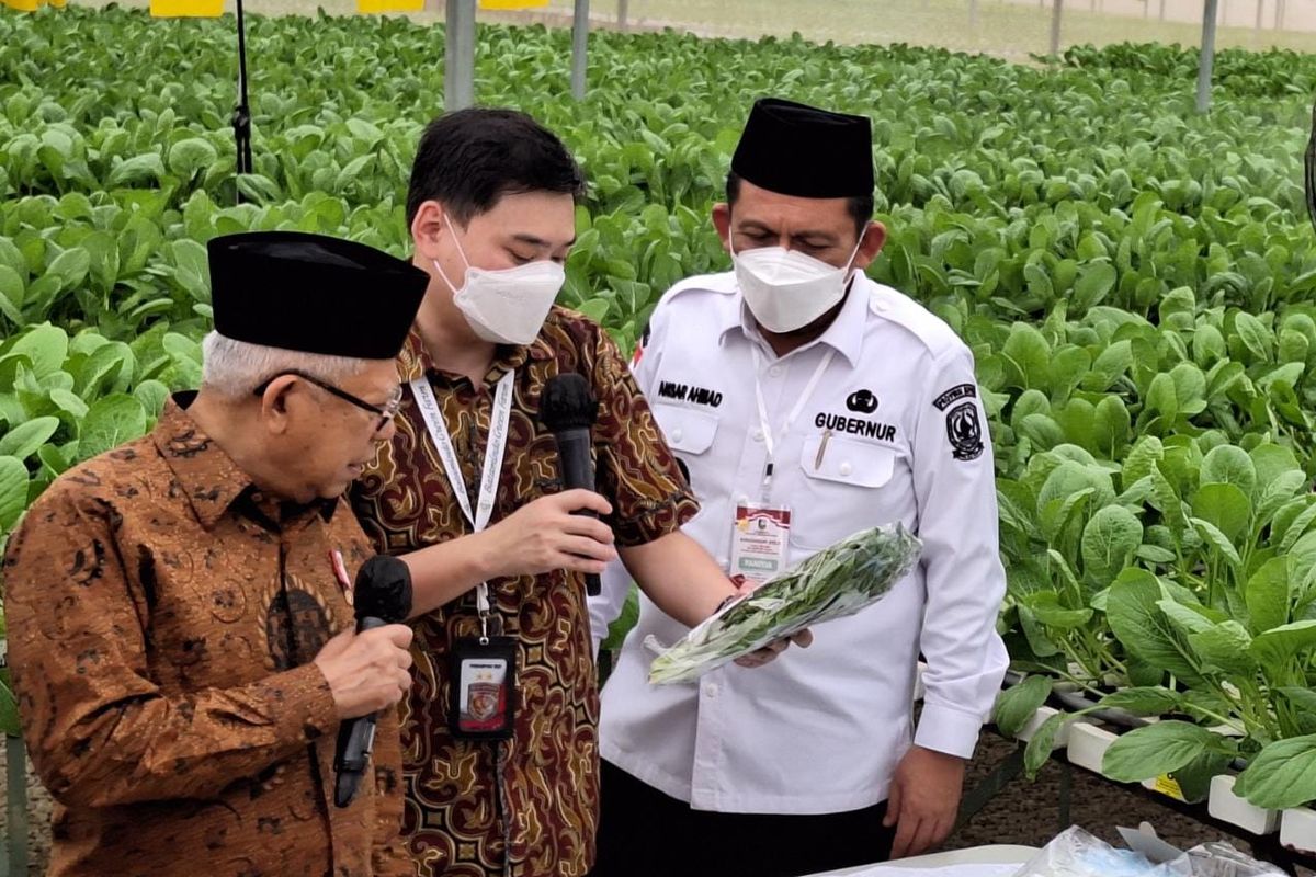 Wakil Presiden RI KH Ma'ruf Amin mengawali kunjungan kerjanya ke Provinsi Kepulauan Riau (Kepri) dengan meninjau areal pertanian hidroponik modern Batamindo Green Farm di Southlink Tiban, Batam, Rabu (7/6/2023).