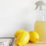 9 Manfaat Lemon, Pembersih Serbaguna dari Blender sampai Noda Panci