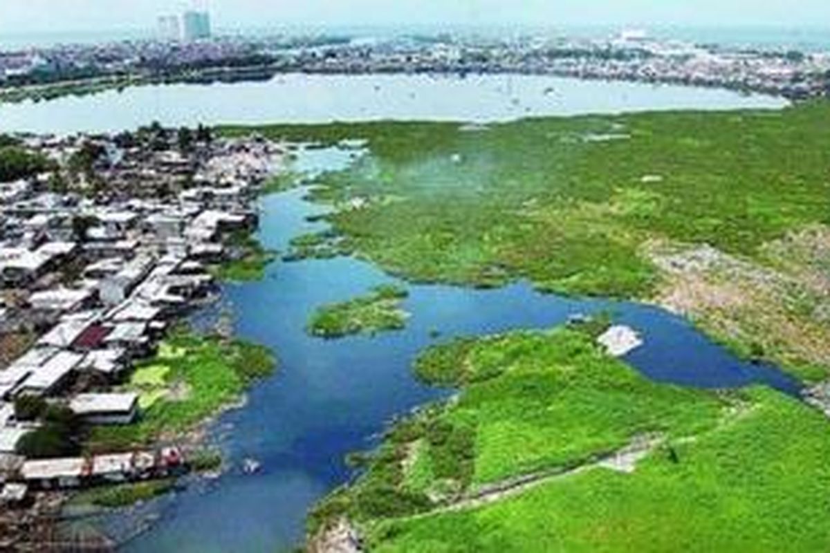 Rumah-rumah ilegal milik warga memenuhi area genangan Waduk Pluit, Penjaringan, Jakarta Utara, Selasa (5/2/2013). Pemerintah Provinsi DKI Jakarta berencana merevitalisasi waduk ini dan memindahkan warganya ke sejumlah rumah susun sewa di Jakarta.