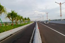 Ini Ragam Tanaman yang Hijaukan Jalan Tol di Tanah Air