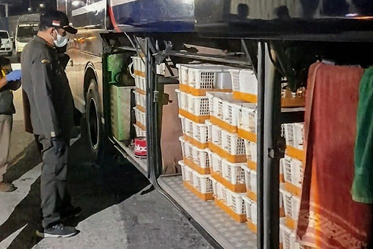 991 Burung Tanpa Dokumen Diamankan di Bakauheni, Diduga Bagian Perdagangan Satwa Liar