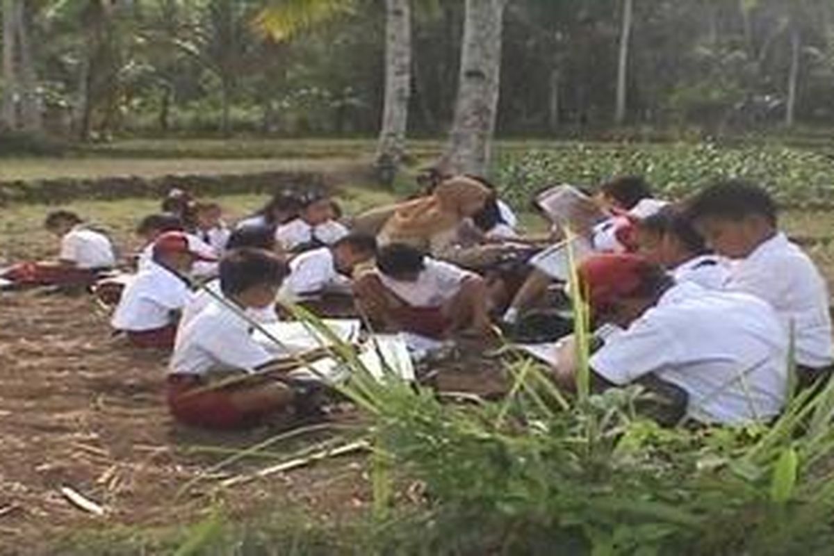 Puluhan siswa SD Negeri di Donomulyo, Kabupaten Malang, Jawa Timur harus belajar di sawah, akibat gedung sekolahnya disegel oleh pemilik tanah.Selasa (23/10/2012)