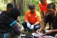 Polisi dan BKSDA Aceh Selidiki Penyebab Kematian Gajah