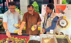 Kelola Sampah Organik, Garudafood Beri Pelatihan Biokonversi Maggot untuk Karyawan 