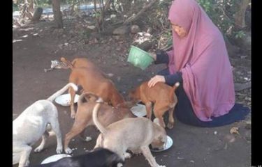 Cerita Bersambung Artis