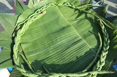 3 Cara Pilih Daun Pisang untuk Bungkus Nasi Bakar agar Tidak Sobek