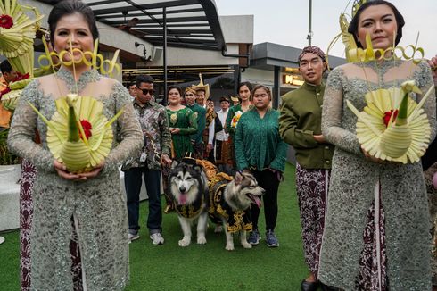 Warganet Persoalkan Pernikahan Adat Jawa Anjing Jojo dan Luna, Ini Kata Pakar UGM