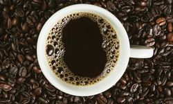 Perubahan Iklim, Petani Kopi Jambi Perkuat Agroforestri dan Intensifikasi