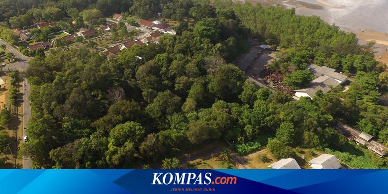 Hutan Kota Muntok di Bangka Barat, Tempat Penelitian Karbon Hingga Pelestarian Flora dan Fauna Langka - Vimarsana News