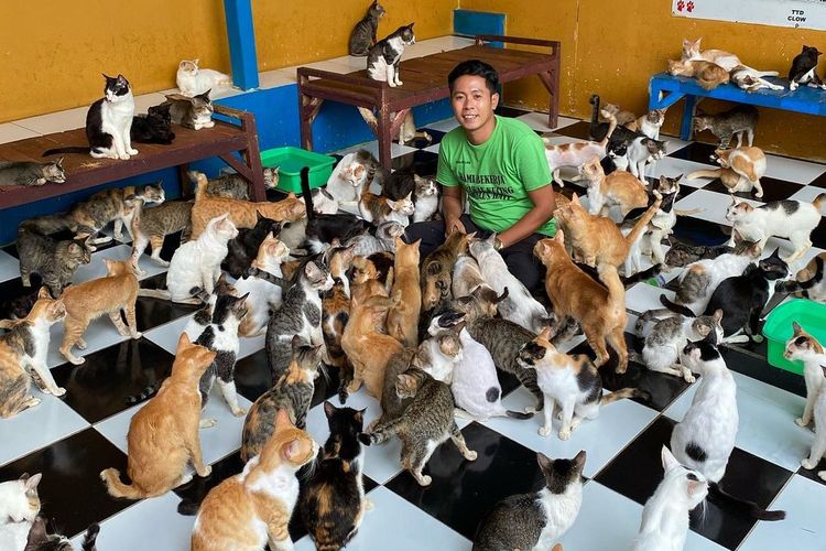 Rumah singgah clow yang menampung kucing jalanan