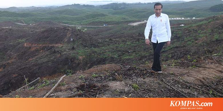 Jokowi Pernah Tawar Burung Kicau Rp 600 Juta, Oleh Pemiliknya Ditolak! - Kompas.com - KOMPAS.com