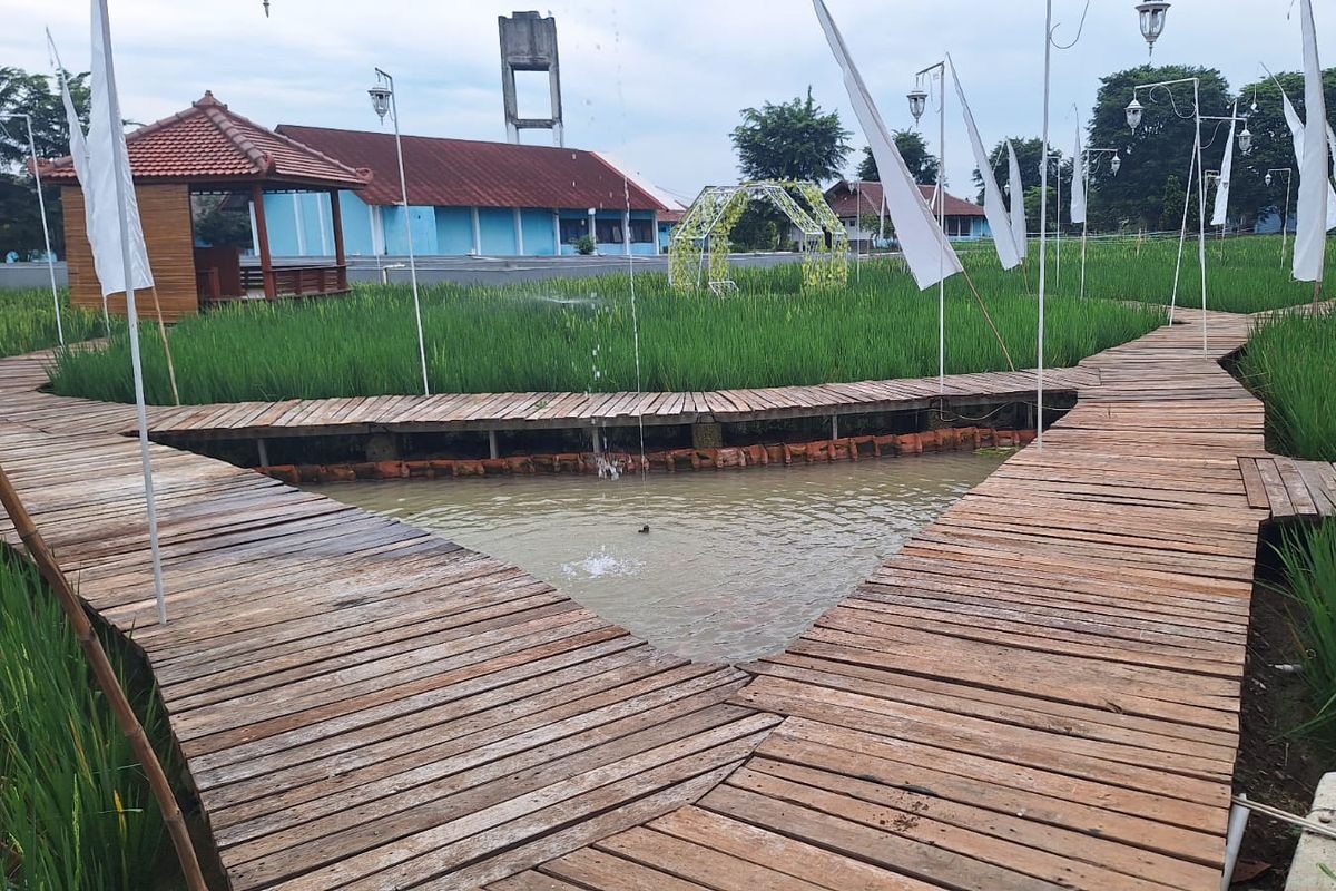 Kembangkan Produktivitas Perikanan, Kementerian KP Jalankan One Stop Aquaculture SFV