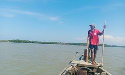 Bentrok dengan Komitmen Iklim, Reklamasi Surabaya Ancam 900 Hektar Mangrove