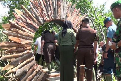 Agrowisata Hutan Mangrove Dirintis di Bangka Tengah