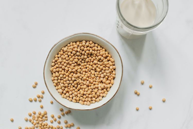Ilustrasi kacang kedelai