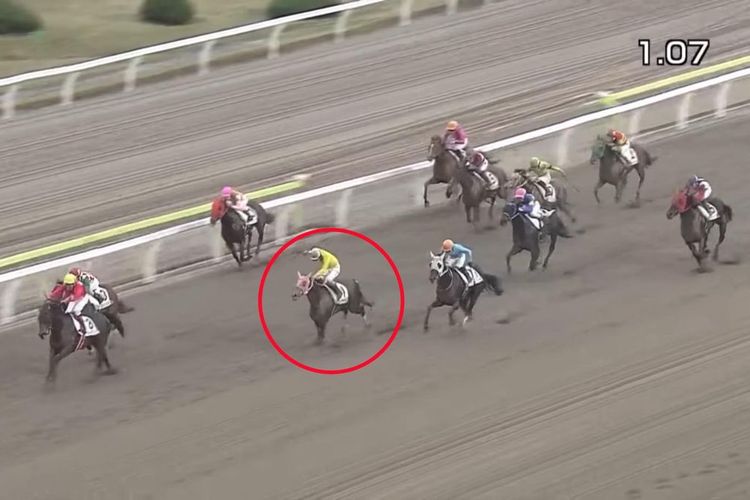 Kuda Sumomomomomomomomo (lingkaran merah) viral setelah menang dalam balapan di arena Oi Tokyo, Senin (1/11/2021). Itu adalah kemenangan dalam balapan ke-12 sepanjang kariernya.