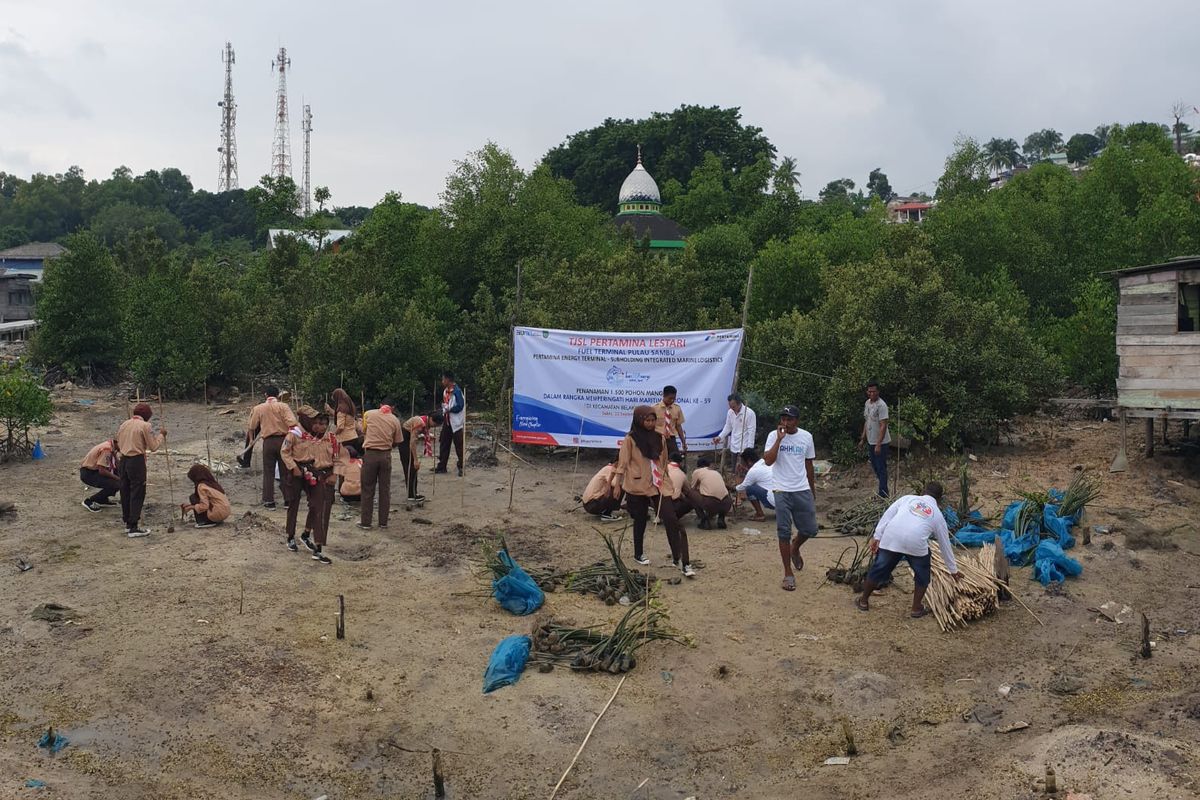 PIS tanam ribuan pohon mangrove di pesisir pantai Batam