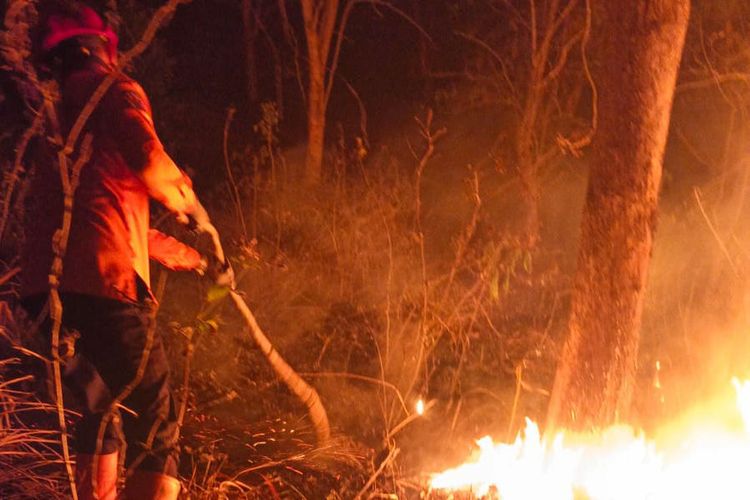 Hutan Jati di Blitar Terbakar, Api Sempat Merembet hingga 20 Meter dari Permukiman
