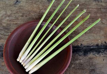 Manfaat Serai Wangi untuk Tanaman, Bisa Mengusir Hama