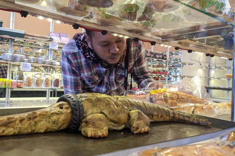 Roti buaya berkalung ban yang viral di Palu, Kamis (20/2/2020)