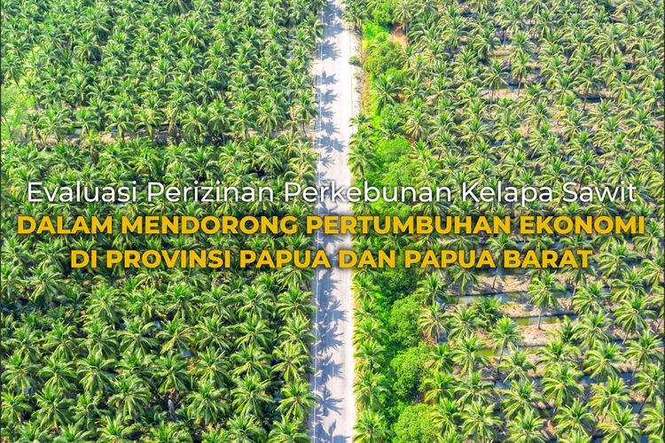 ementerian ATR/BPN Lakukan Evaluasi Perizinan Perkebunan Kelapa Sawit di Papua dan Papua Barat