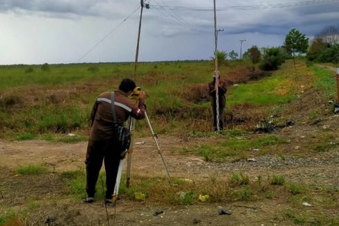 IPB Diminta Kembangkan Singkong dan Sagu di Lahan 32 Ribu Hektar