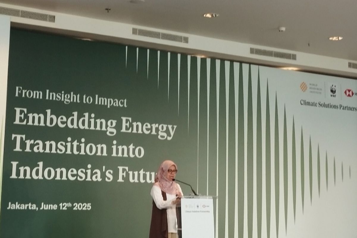 Direktur Aneka Energi Baru Terbarukan dan Konservasi Energi (EBTKE) Kementerian ESDM, Andriah Feby Misna  dalam acara reflektif lima tahun perjalanan Climate Solution Partner di Indonesia bertajuk From Insight to Impact: Embedding Energy Transition into Indonesia's Future, yang berlangsung di Jakarta Selatan pada Kamis (12/6/2025)